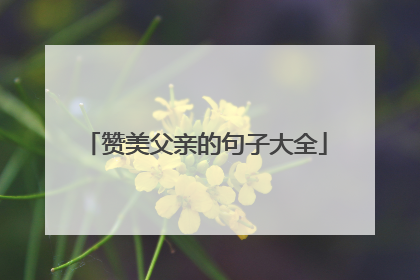 赞美父亲的句子大全