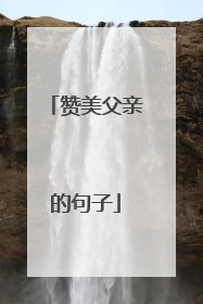 赞美父亲的句子