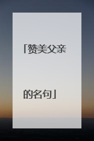 赞美父亲的名句