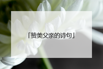 赞美父亲的诗句