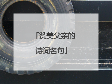 赞美父亲的诗词名句
