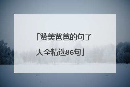 赞美爸爸的句子大全精选86句