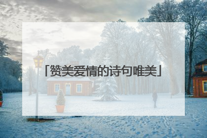 赞美爱情的诗句唯美