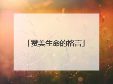 赞美生命的格言