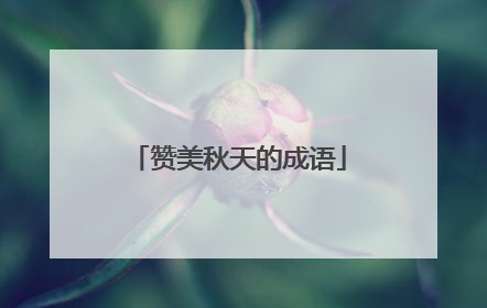 赞美秋天的成语