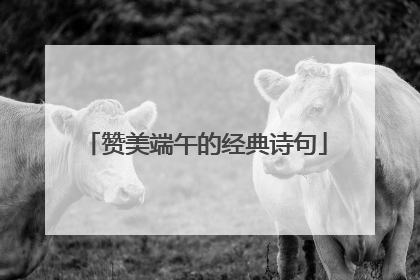 赞美端午的经典诗句