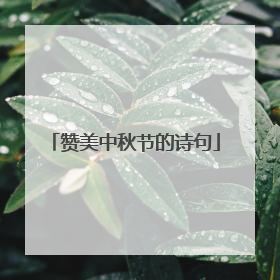 赞美中秋节的诗句
