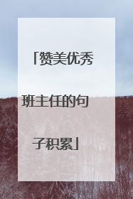 赞美优秀班主任的句子积累
