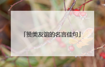 赞美友谊的名言佳句