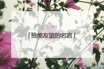 赞美友谊的名言