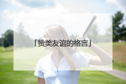 赞美友谊的格言