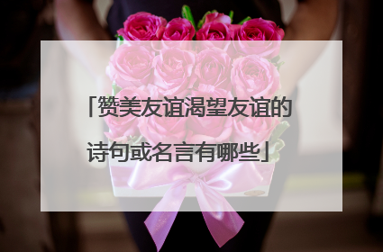 赞美友谊渴望友谊的诗句或名言有哪些