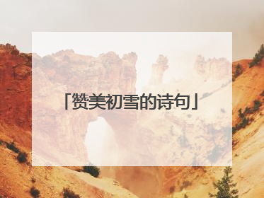 赞美初雪的诗句