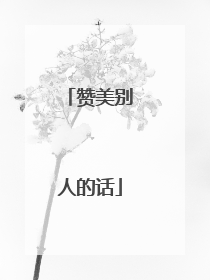 赞美别人的话