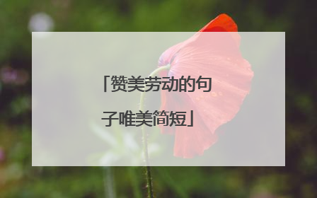 赞美劳动的句子唯美简短