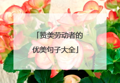 赞美劳动者的优美句子大全