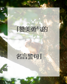赞美勇气的名言警句