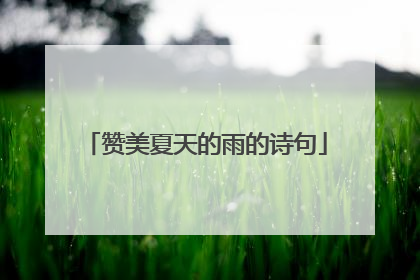 赞美夏天的雨的诗句