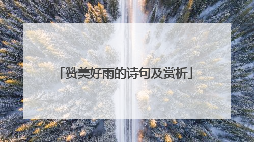 赞美好雨的诗句及赏析