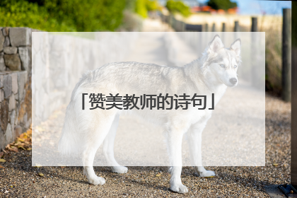 赞美教师的诗句