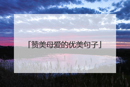 赞美母爱的优美句子