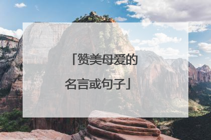 赞美母爱的名言或句子