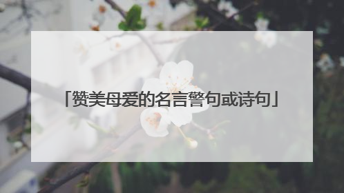 赞美母爱的名言警句或诗句