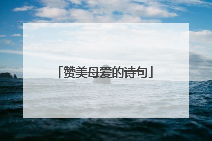 赞美母爱的诗句