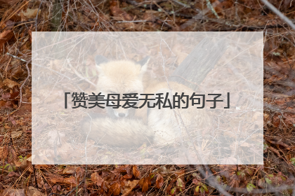 赞美母爱无私的句子