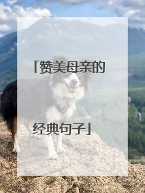 赞美母亲的经典句子