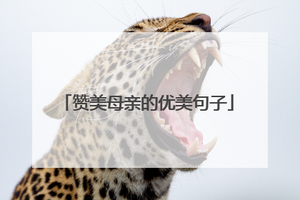 赞美母亲的优美句子