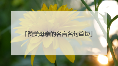 赞美母亲的名言名句简短