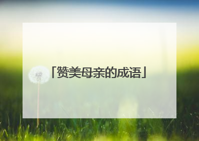赞美母亲的成语