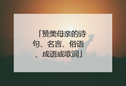 赞美母亲的诗句、名言、俗语、成语或歌词