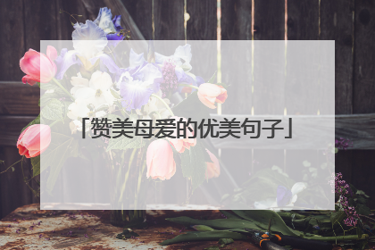 赞美母爱的优美句子