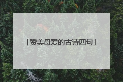 赞美母爱的古诗四句