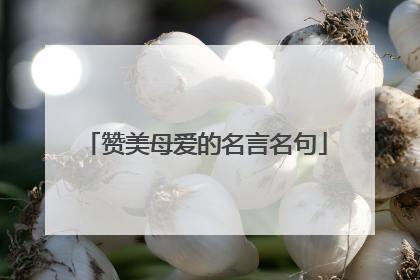 赞美母爱的名言名句
