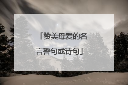 赞美母爱的名言警句或诗句
