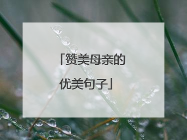 赞美母亲的优美句子