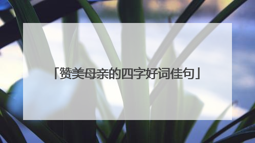 赞美母亲的四字好词佳句