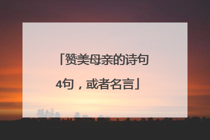 赞美母亲的诗句4句,或者名言