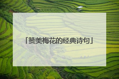 赞美梅花的经典诗句