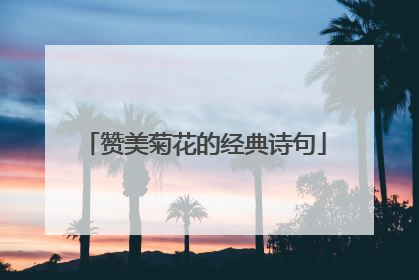 赞美菊花的经典诗句