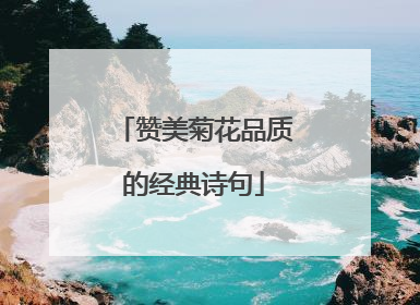 赞美菊花品质的经典诗句