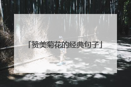 赞美菊花的经典句子
