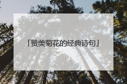 赞美菊花的经典诗句