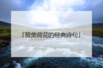 赞美荷花的经典诗句