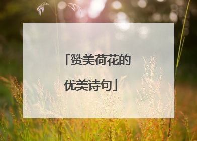 赞美荷花的优美诗句