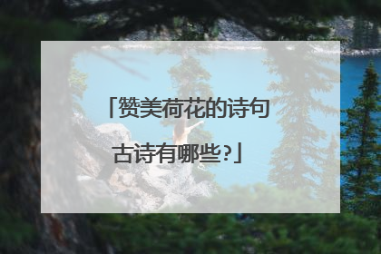 赞美荷花的诗句古诗有哪些?