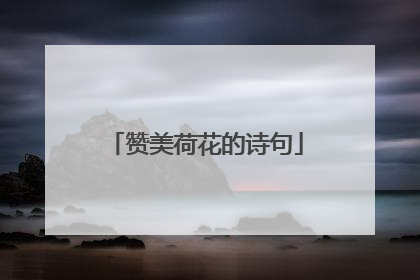 赞美荷花的诗句